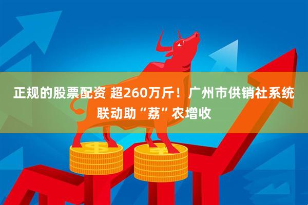 正规的股票配资 超260万斤！广州市供销社系统联动助“荔”农增收