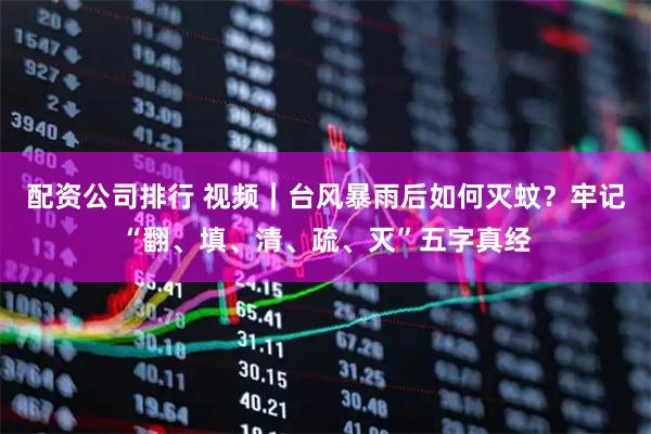 配资公司排行 视频｜台风暴雨后如何灭蚊？牢记“翻、填、清、疏、灭”五字真经