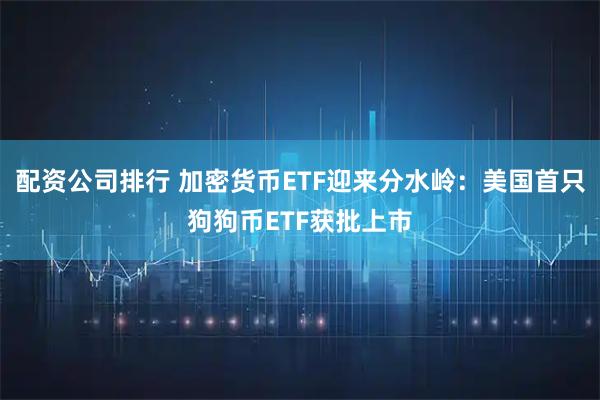 配资公司排行 加密货币ETF迎来分水岭：美国首只狗狗币ETF获批上市